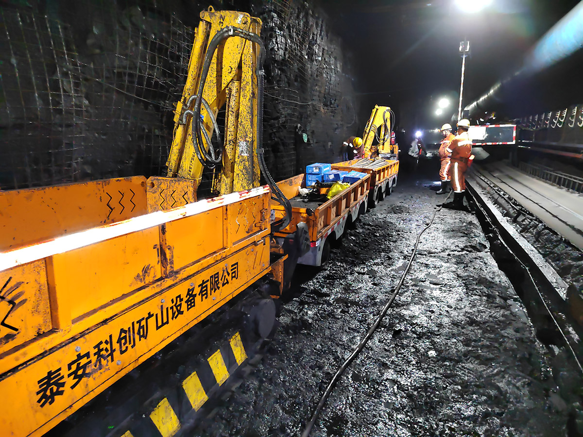 Người vận chuyển sâu bọ dưới lòng đất